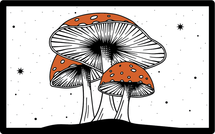 Why our jackets are different from others on the mountain.