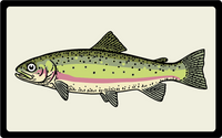 Trout Patch